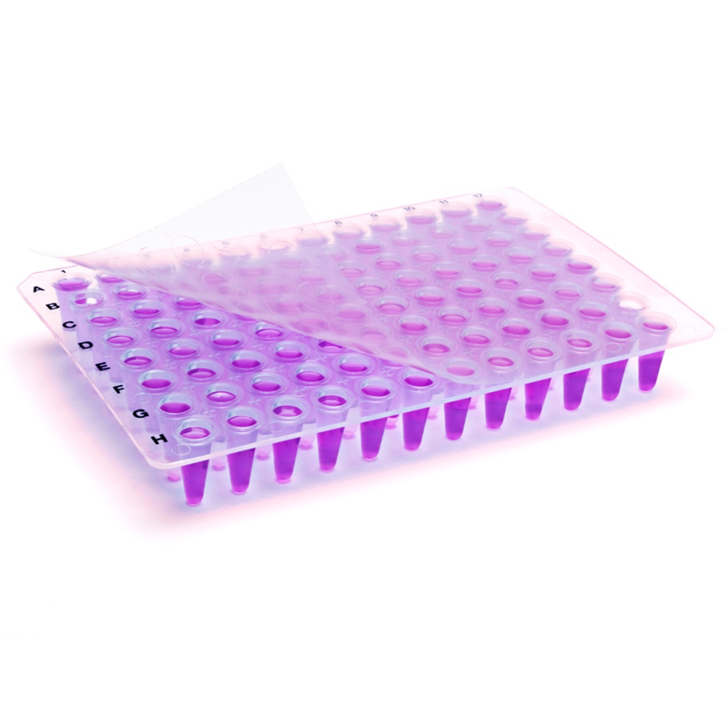 qPCR